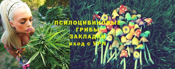 винт Саяногорск